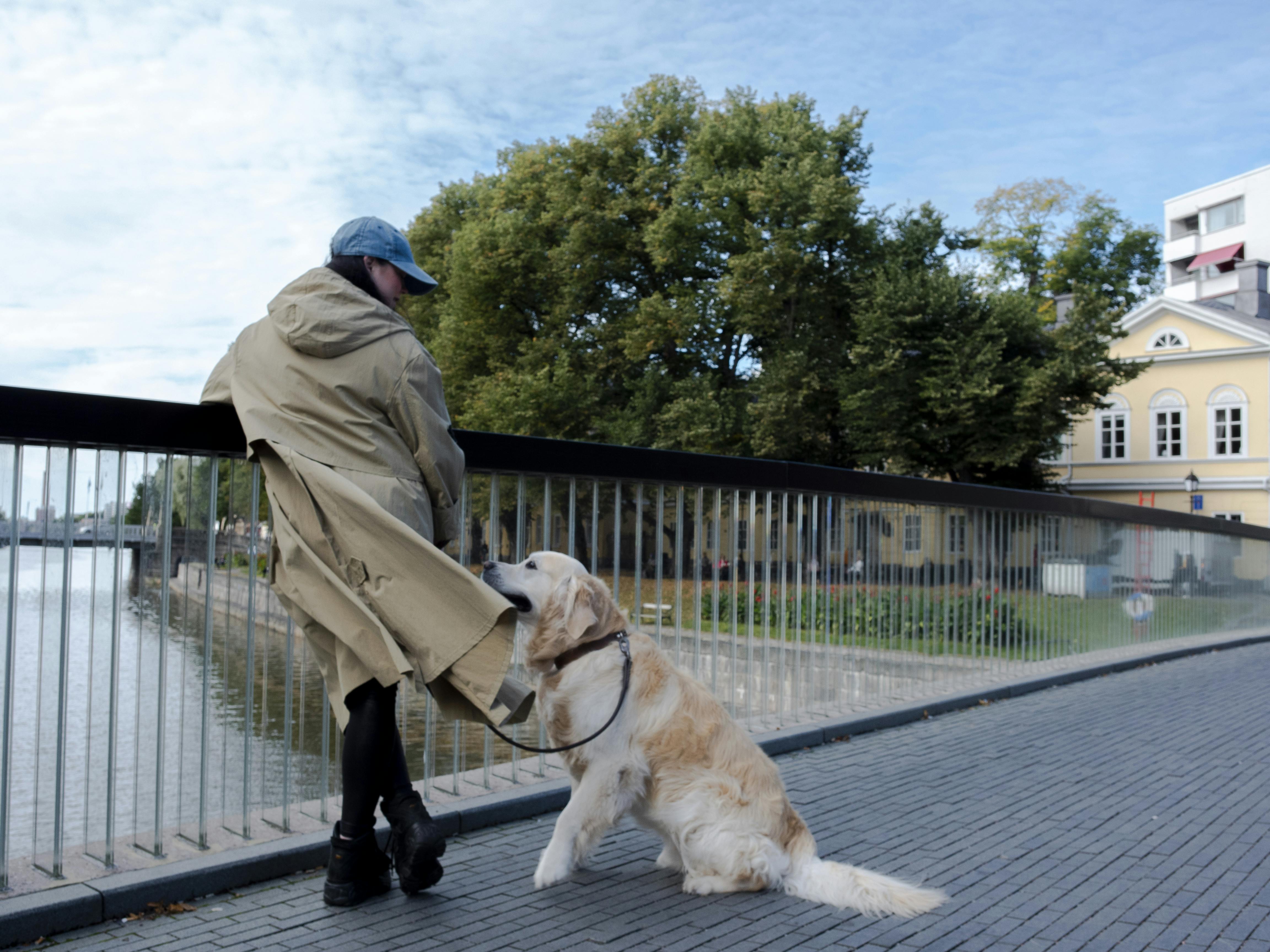 Dog and owner on a walk in Turku.