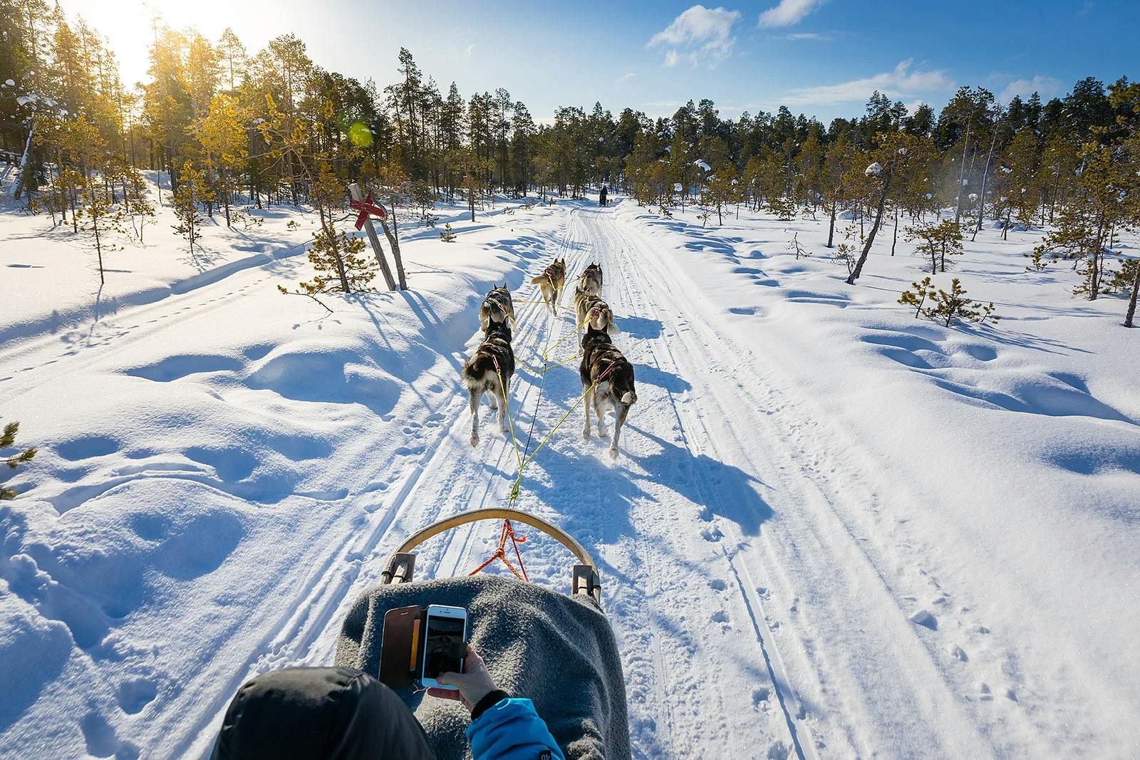 Tartu ohjaksiin ja ohjasta omaa huskyvaljakkoasi halki talvisen erämaan – tämä on Lapin loma parhaimmillaan!