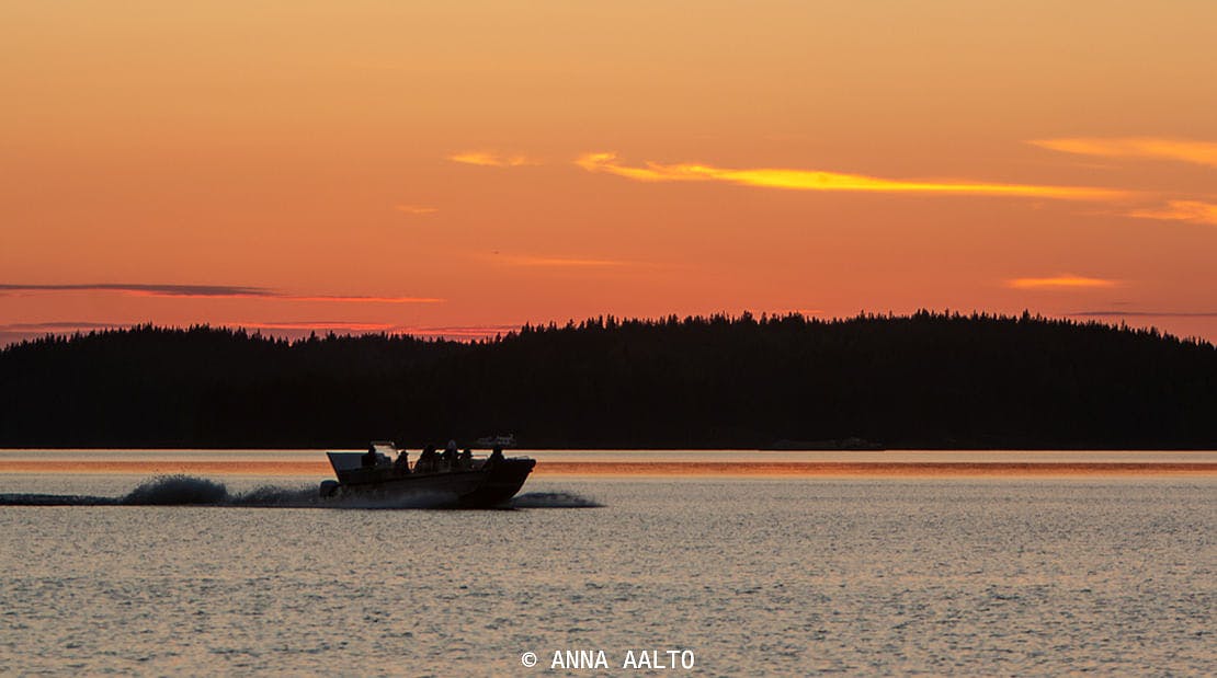 Auringonlasku safarilla Saimaalla bongaillaan norppia ja kalasääskiä.