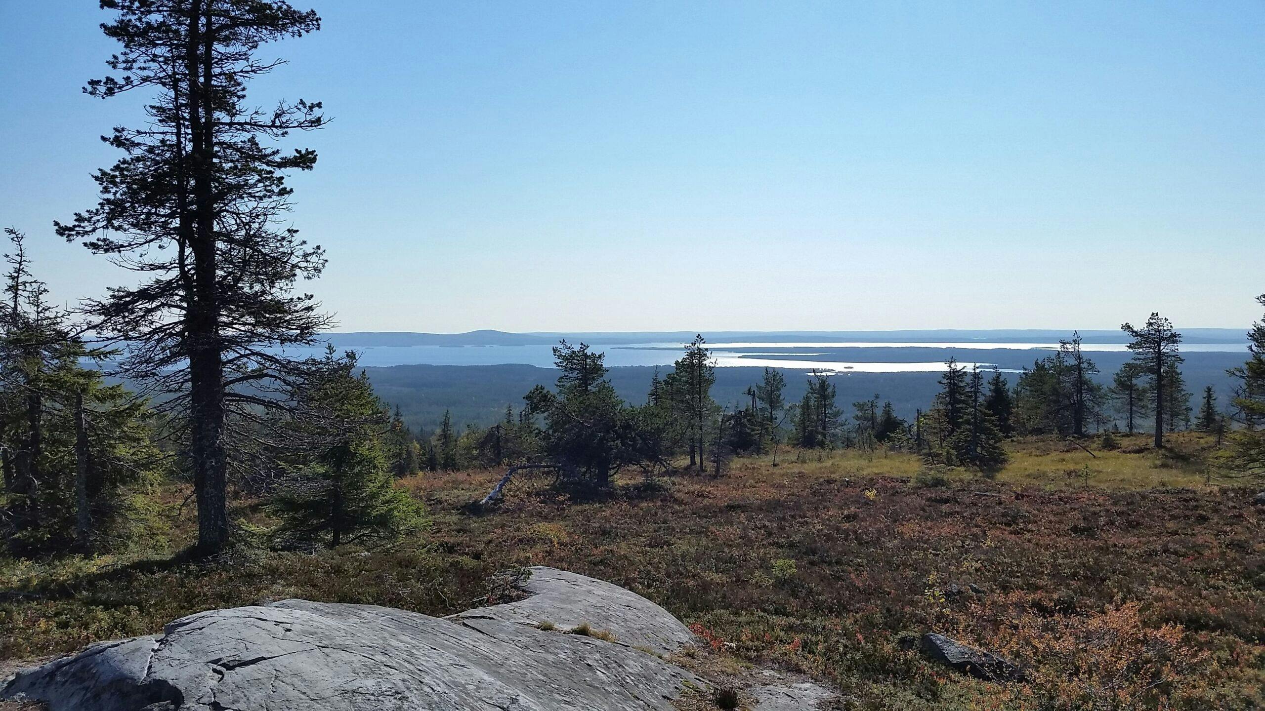 Luontohyvinvointiretkellä Riisitunturille pysähdytään metsään joogaamaan.