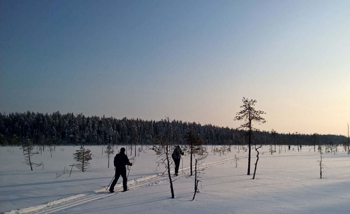 Kalevala hiihto Kuusamon lumisessa maisemassa.