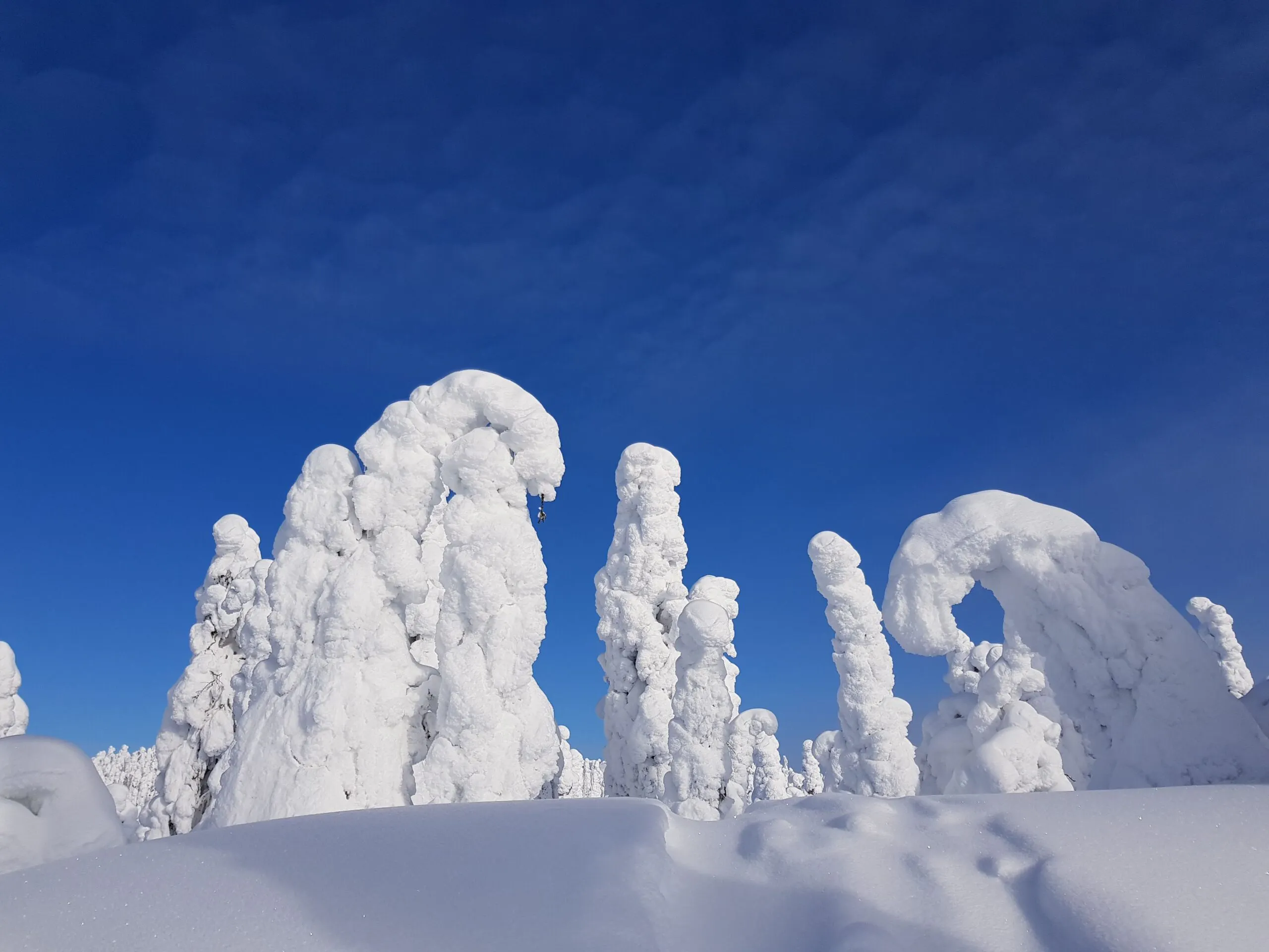 Lappi – Elämysmatkat