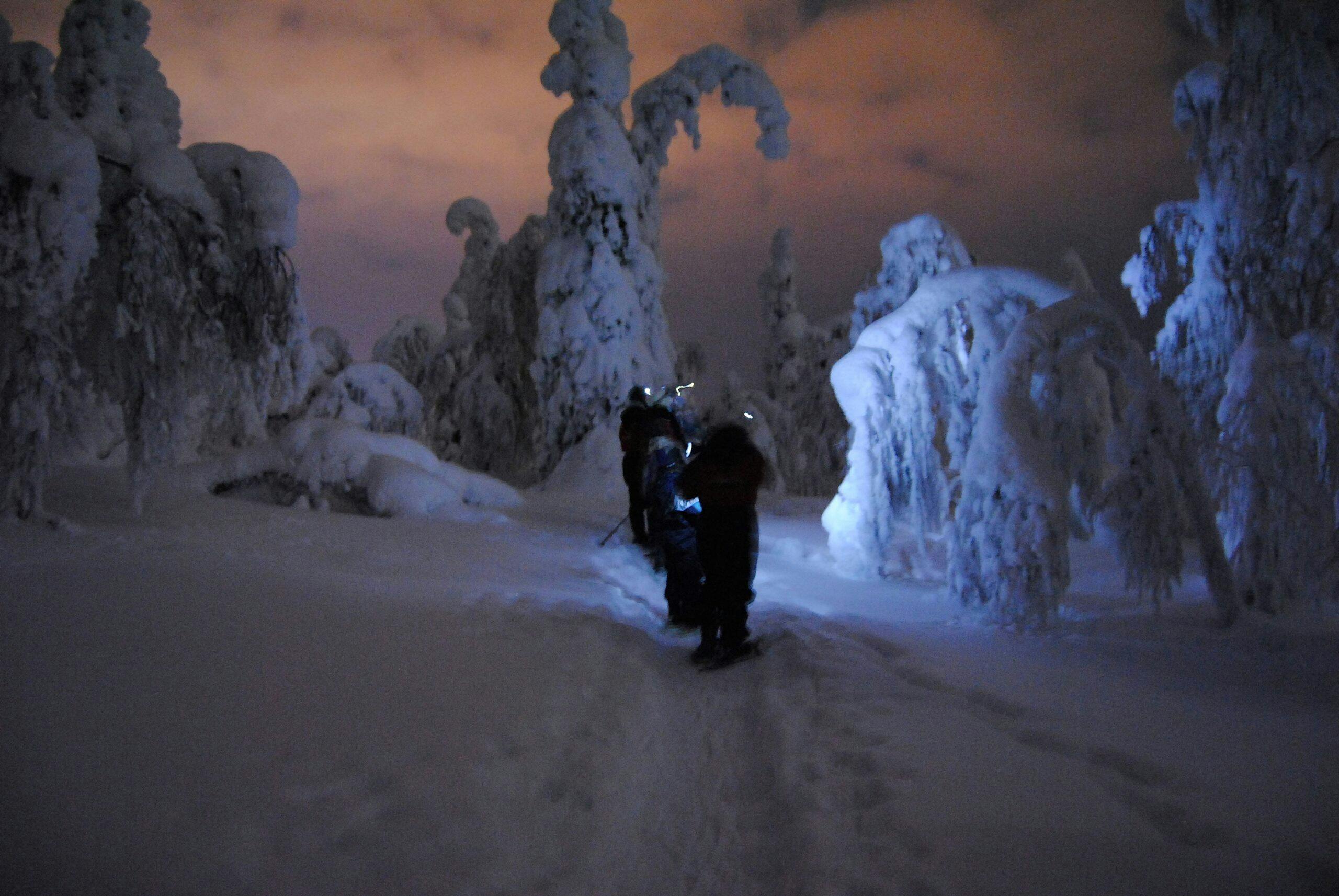Lumikenkäretki Vaaran huipulle tykkilumipuiden sekaan.