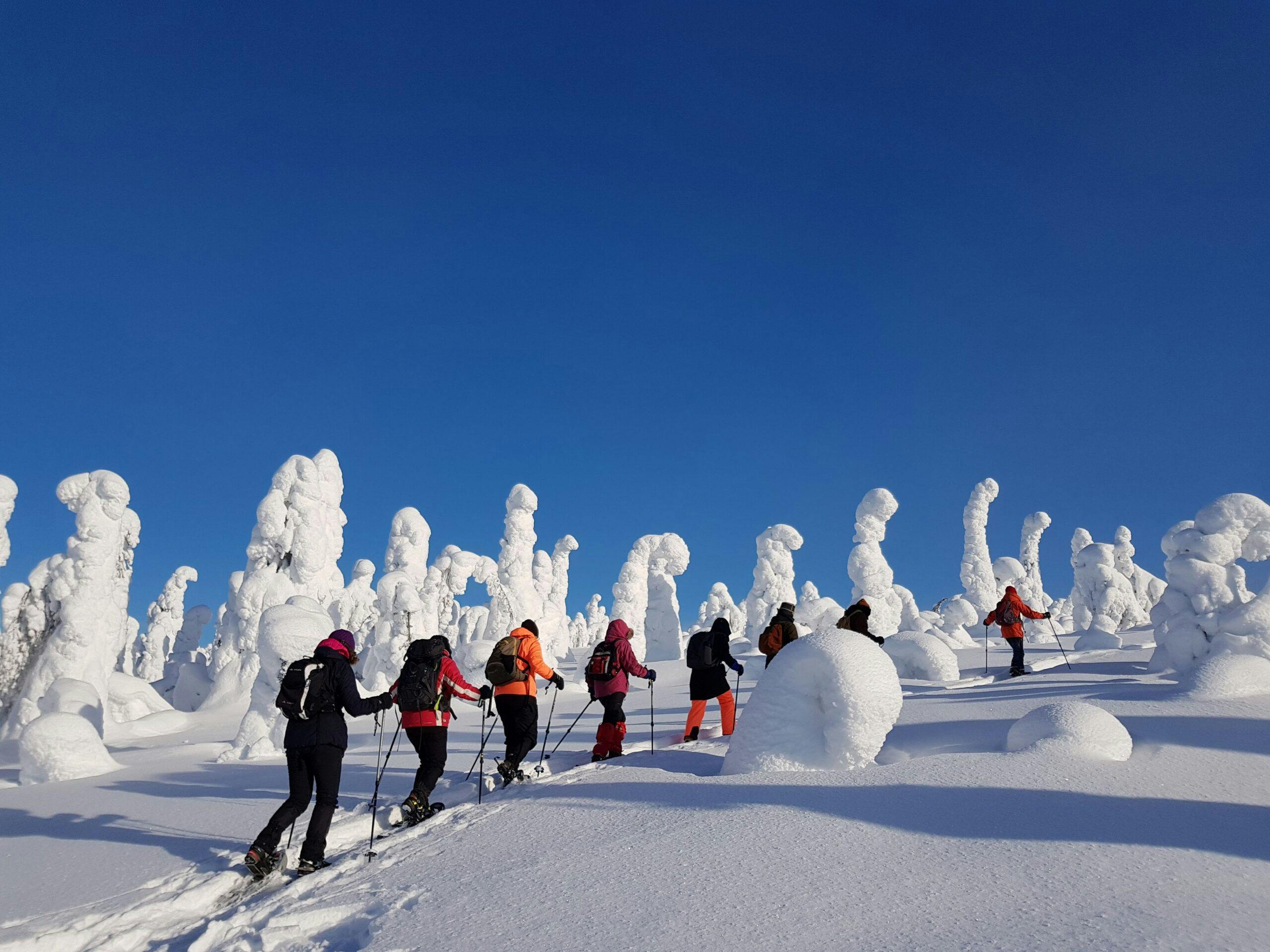 Lumikenkäretkellä huiputetaan Valtavaara.