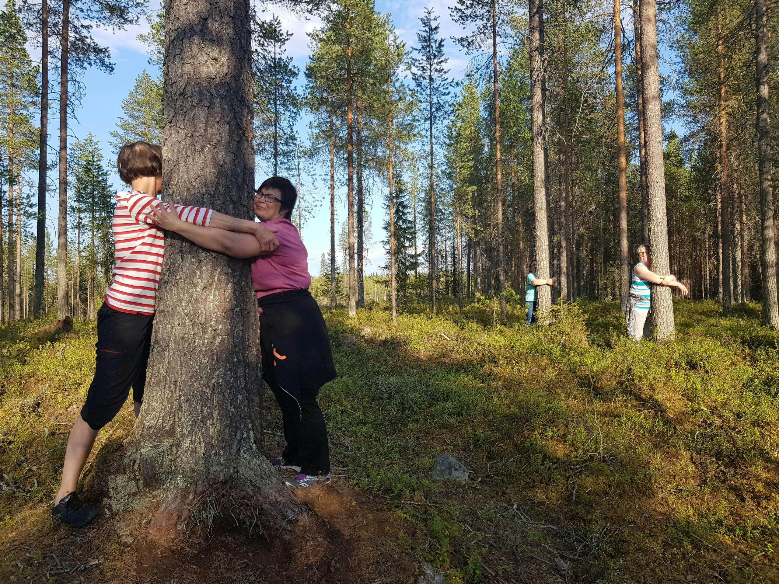 Luontohyvinvointiretki Oulangan metsiin, jossa halaillaan muun muassa puita.
