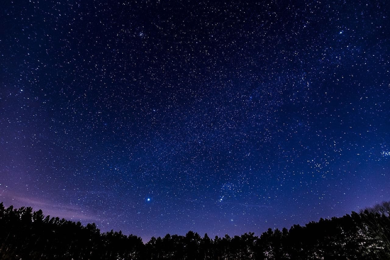 Öisellä luontoretkellä tutkimaan tähtitaivaan merkkejä.