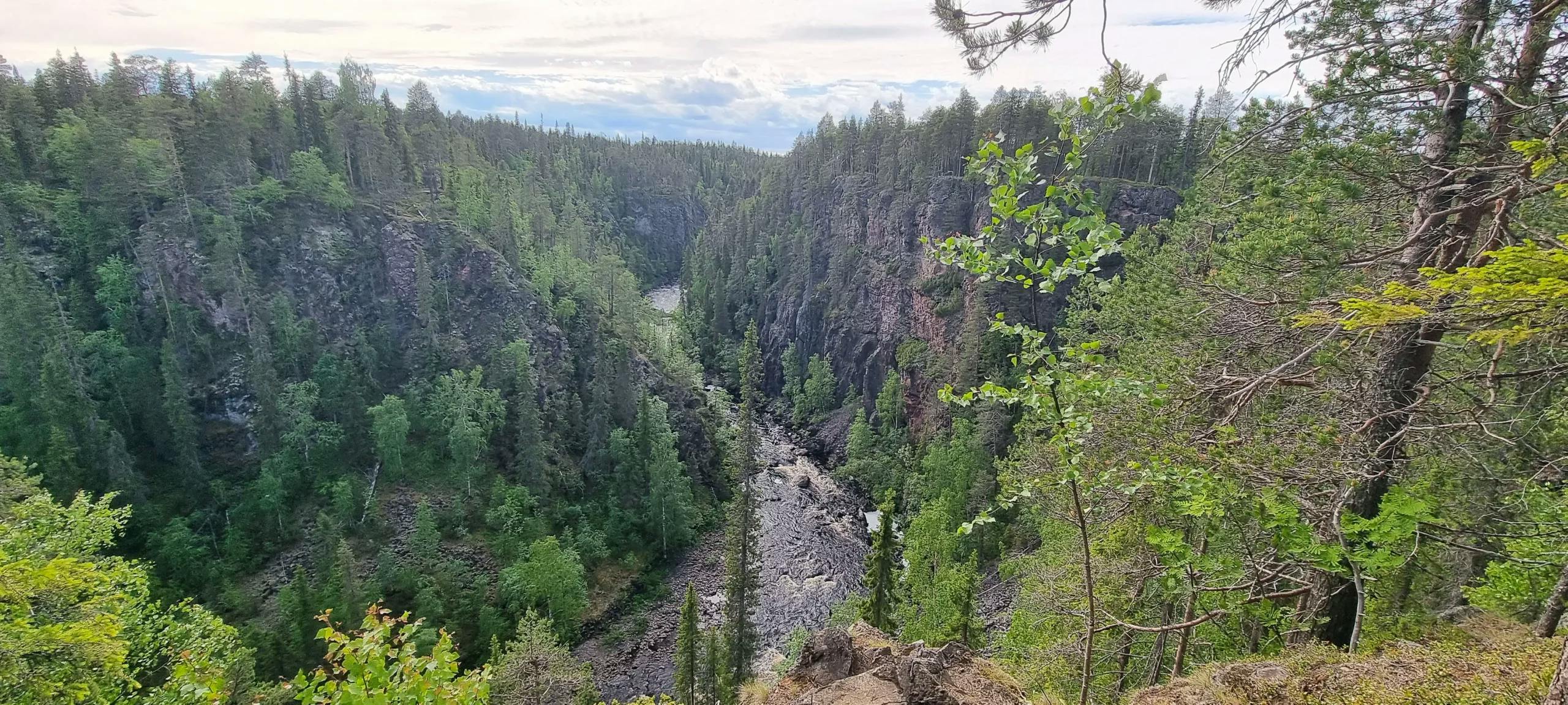 Vaella halki vanhan metsän ja ihaile jylhiä maisemia Oulangan kansallispuistossa.