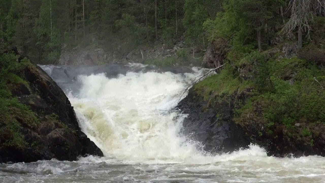 Päiväretkellä nähdään kuohuvat kosket Oulangan kansallispuistossa.
