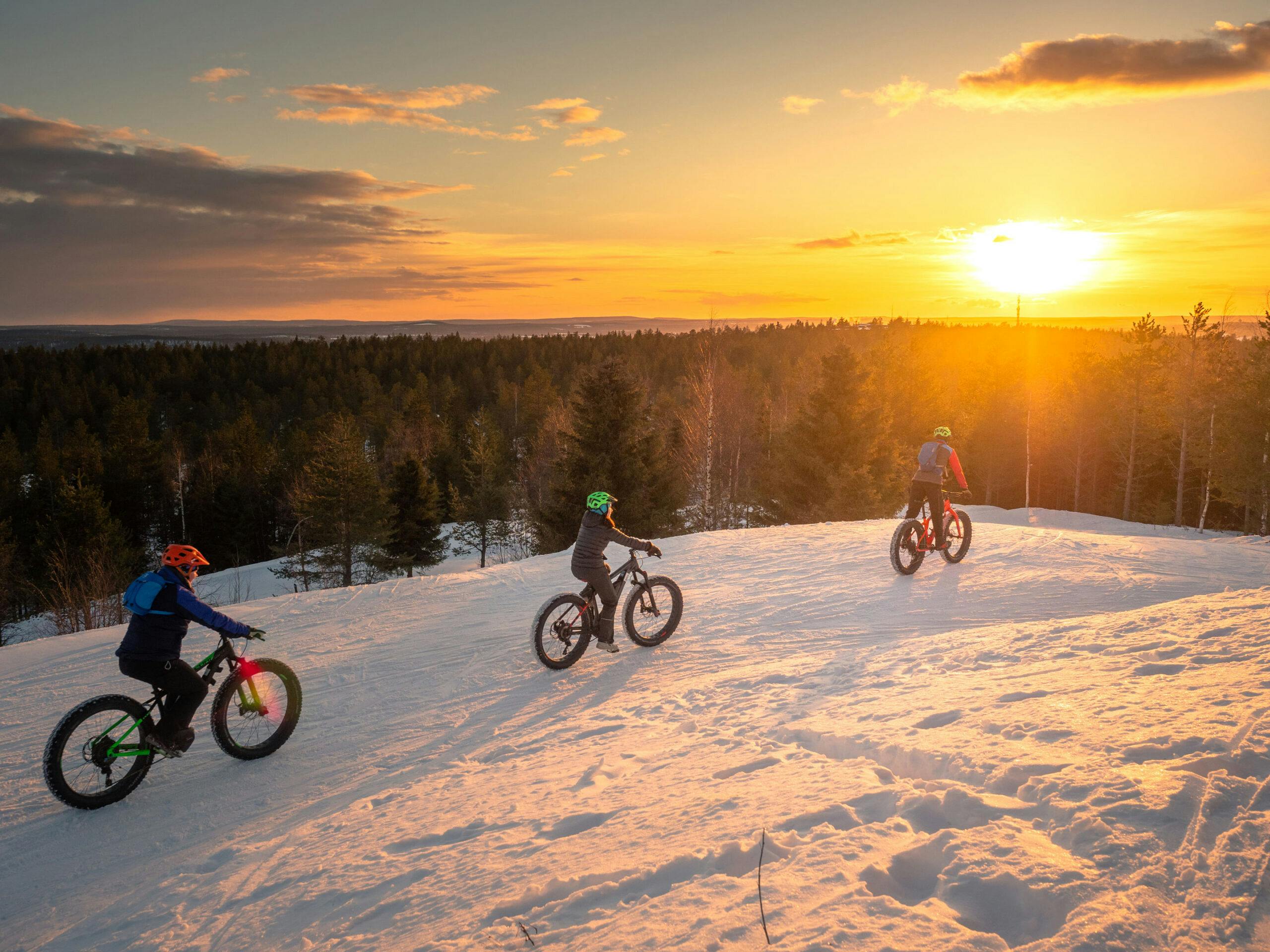 Pyörälenkki ryhmä Rovaniemen maisemissa auringonlaskun aikaan.