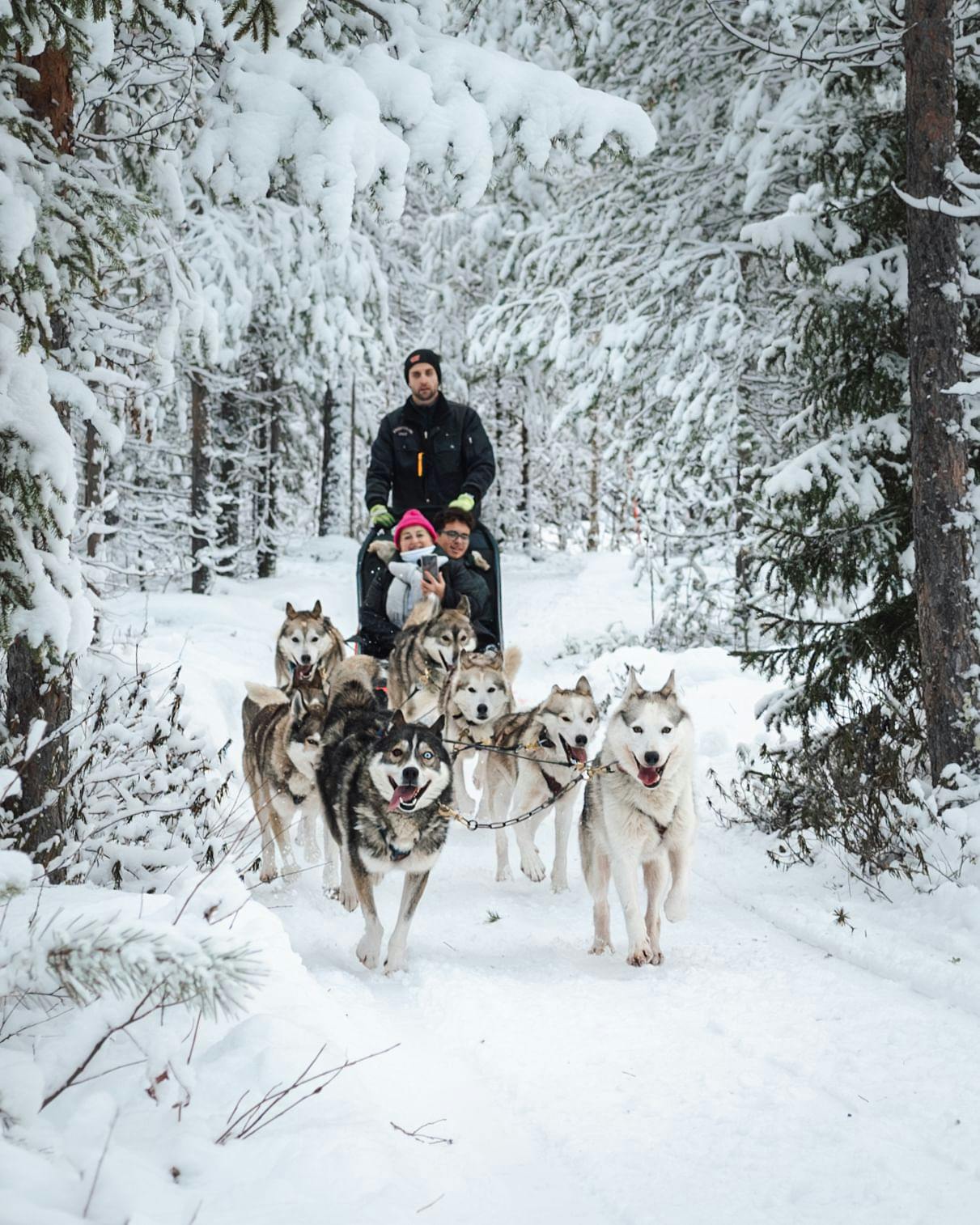 Rekiajelu Rovaniemen talvisessa maisemassa huskyjen kanssa.