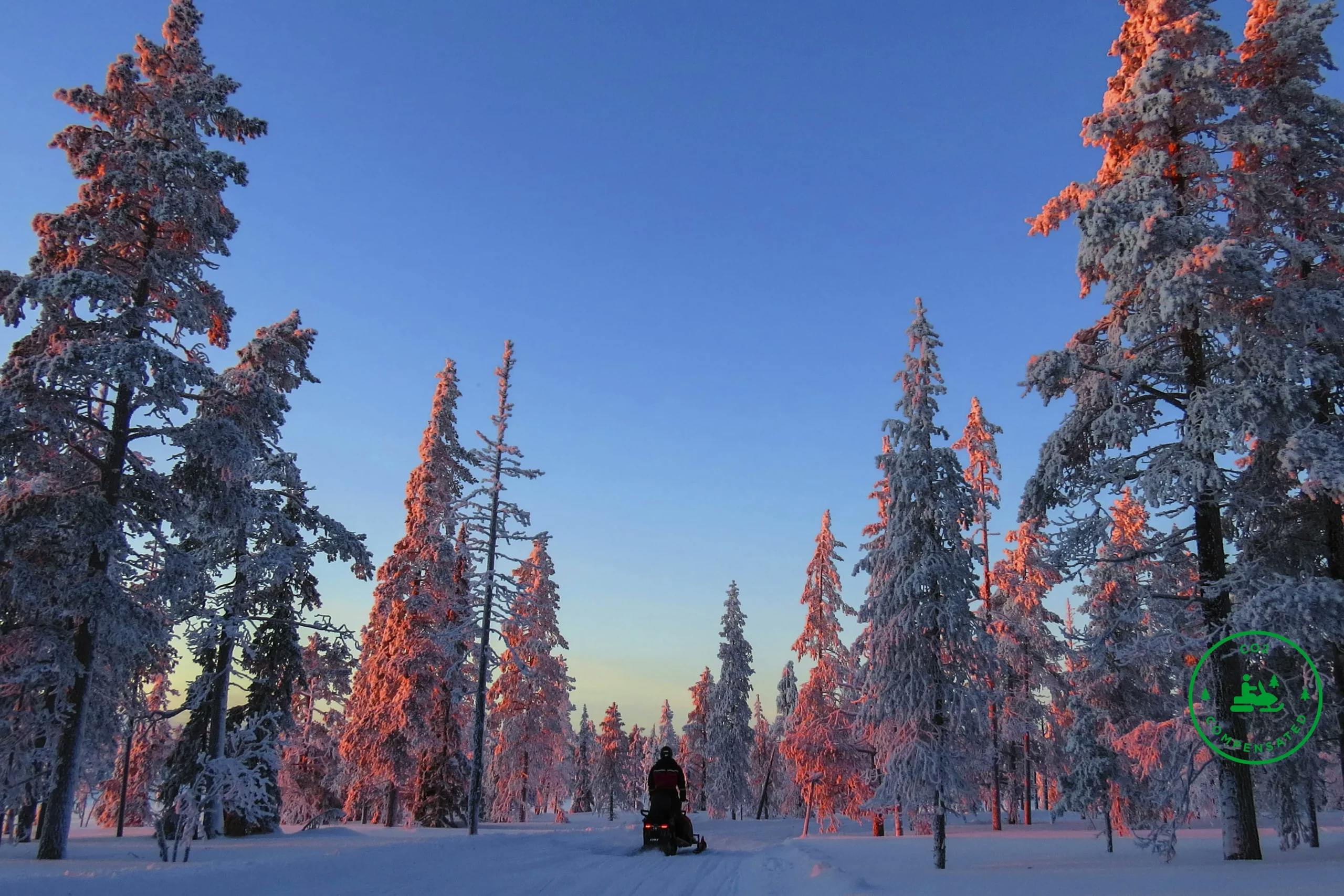 Tule viettämään iltaa ulkoilmassa ja tutustumaan revontulten ihmeelliseen maailmaan