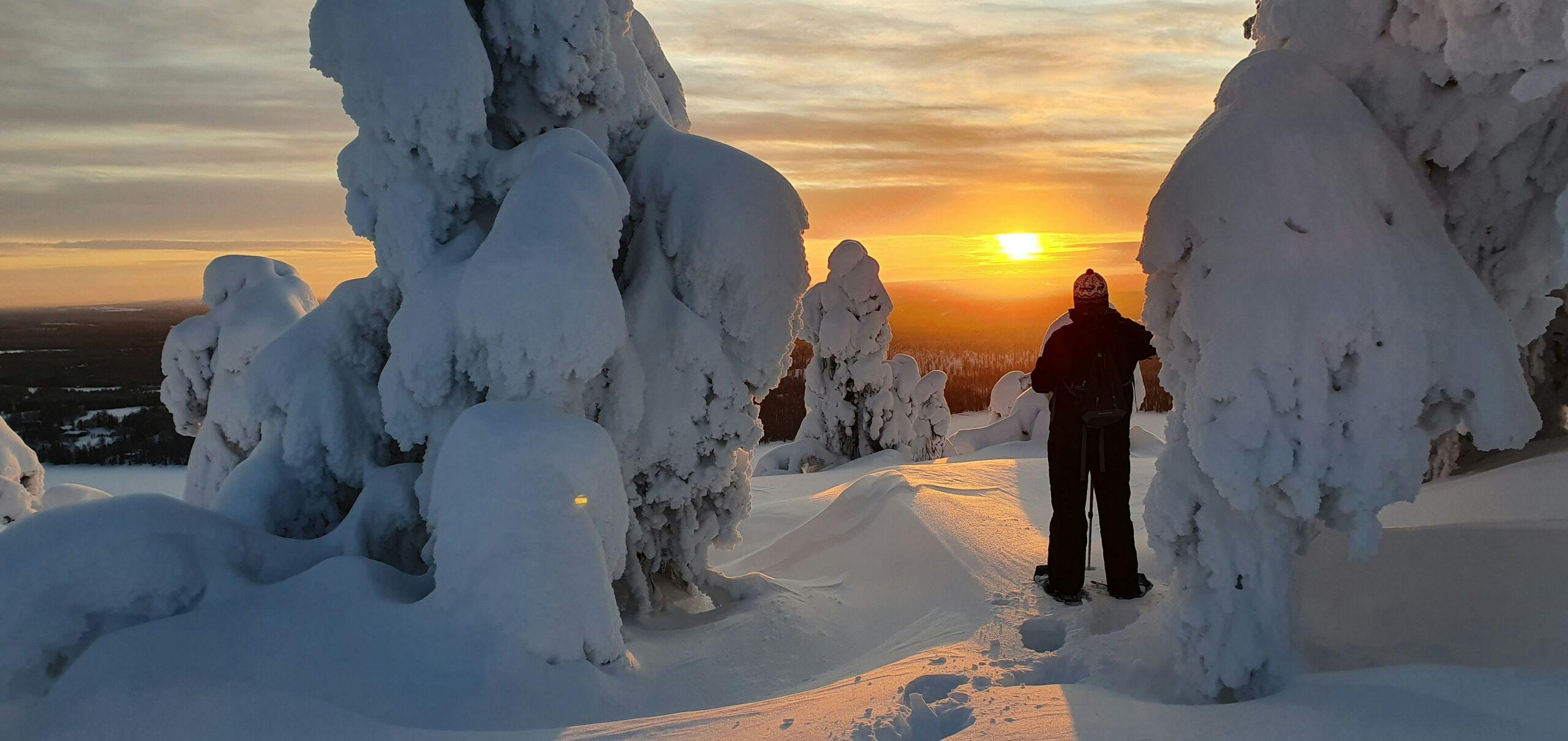 Riisitunturilla lumikenkäilyä auringon säteessä.