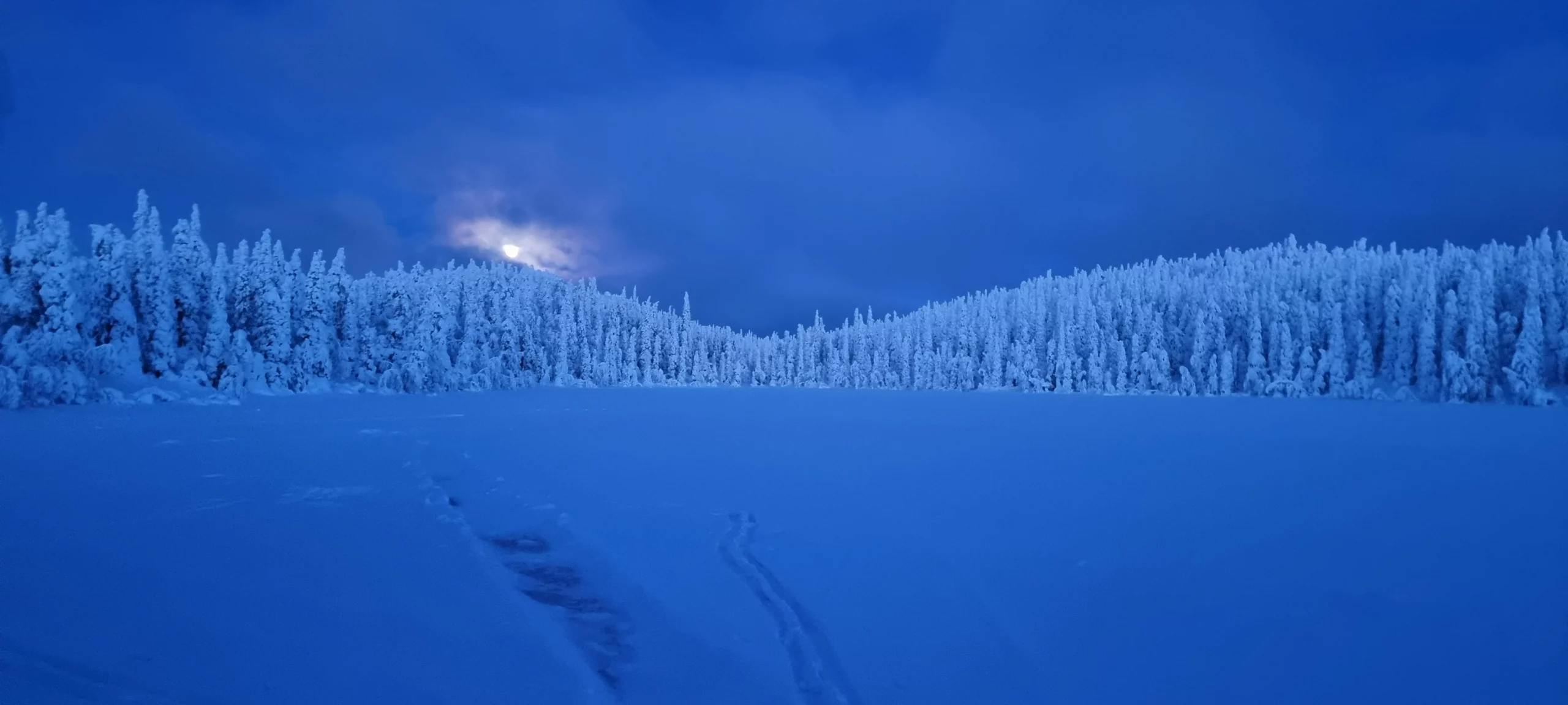 Koe talviyön taika ja kuun hopeoimat tykkypuut – tämä retki toteutetaan vain täysikuun aikaan.