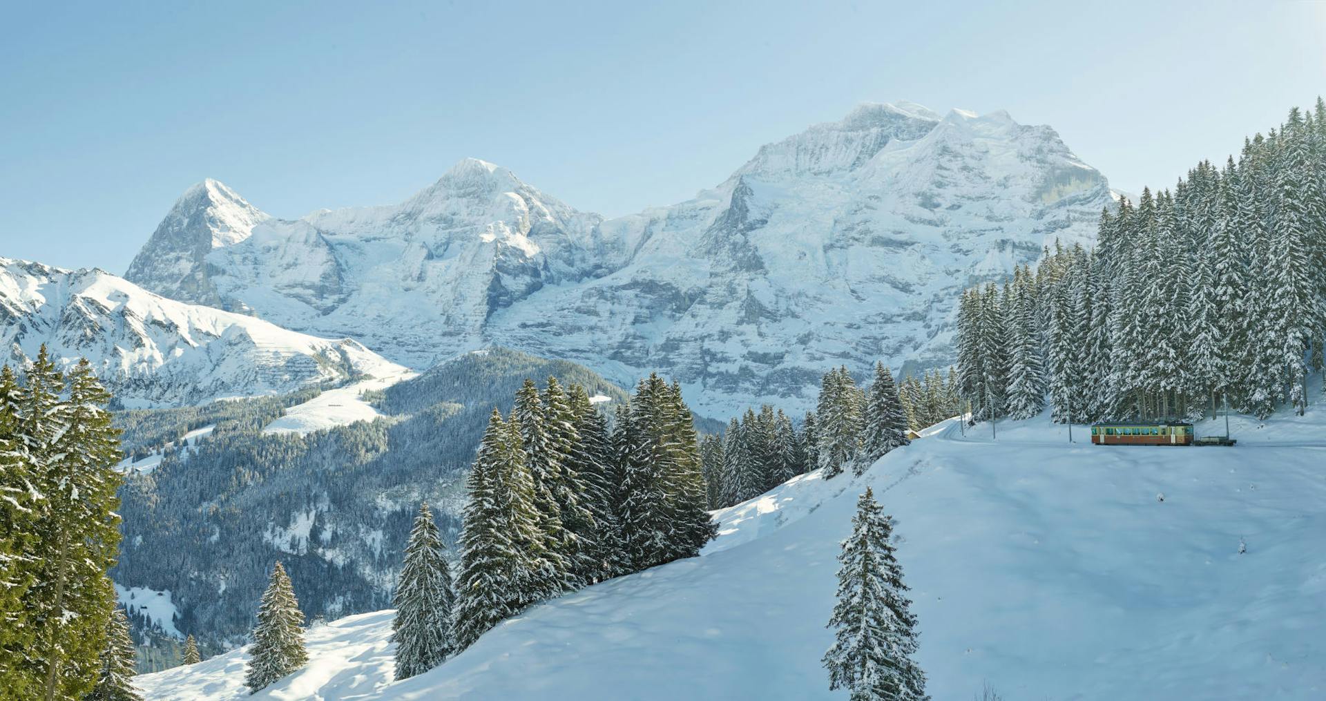 Jungfraubahnen vuoriston luminen maisema. Paljon puita ja taustalla vuoristo.