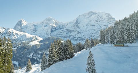 Jungfraubahnen vuoriston luminen maisema. Paljon puita ja taustalla vuoristo.