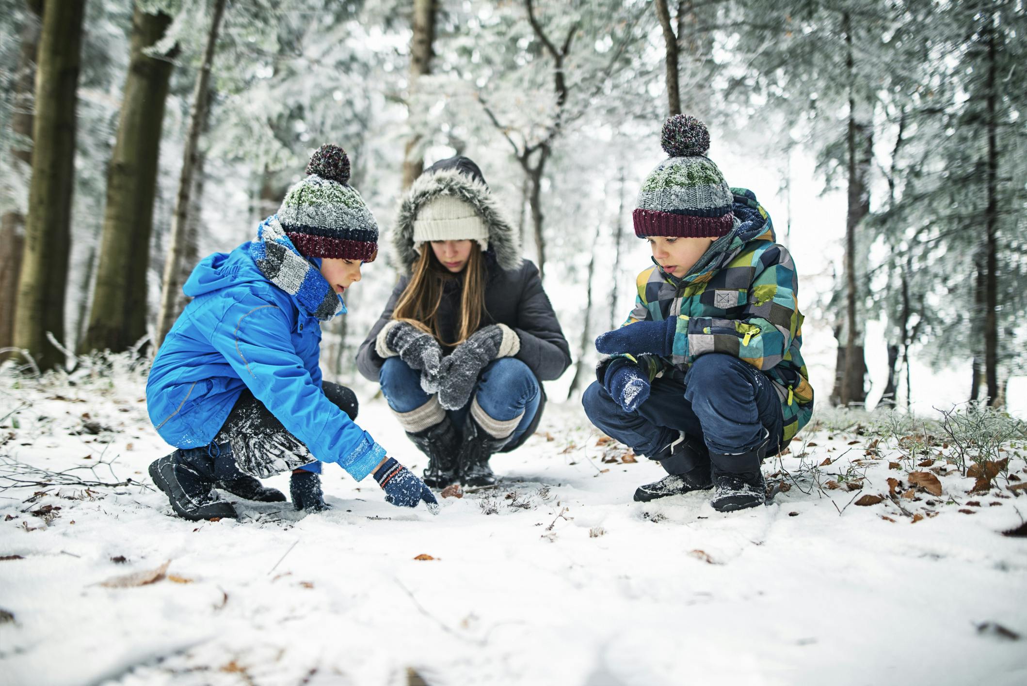 Kolme lasta tutkimassa eläinten jälkiä lumesta, talvisessa metsässä.