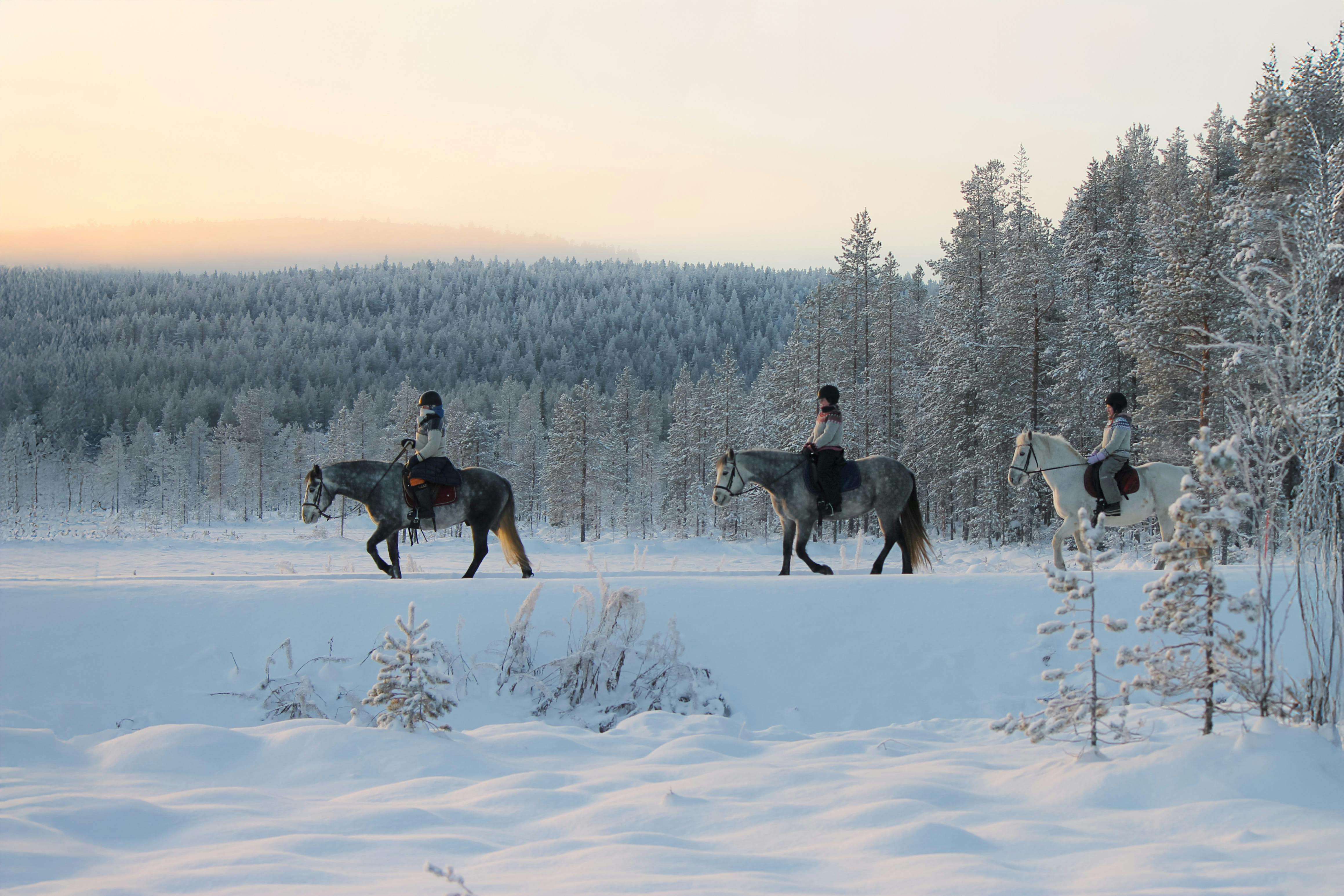 Maastoratsastusretki Äkäslompolossa.