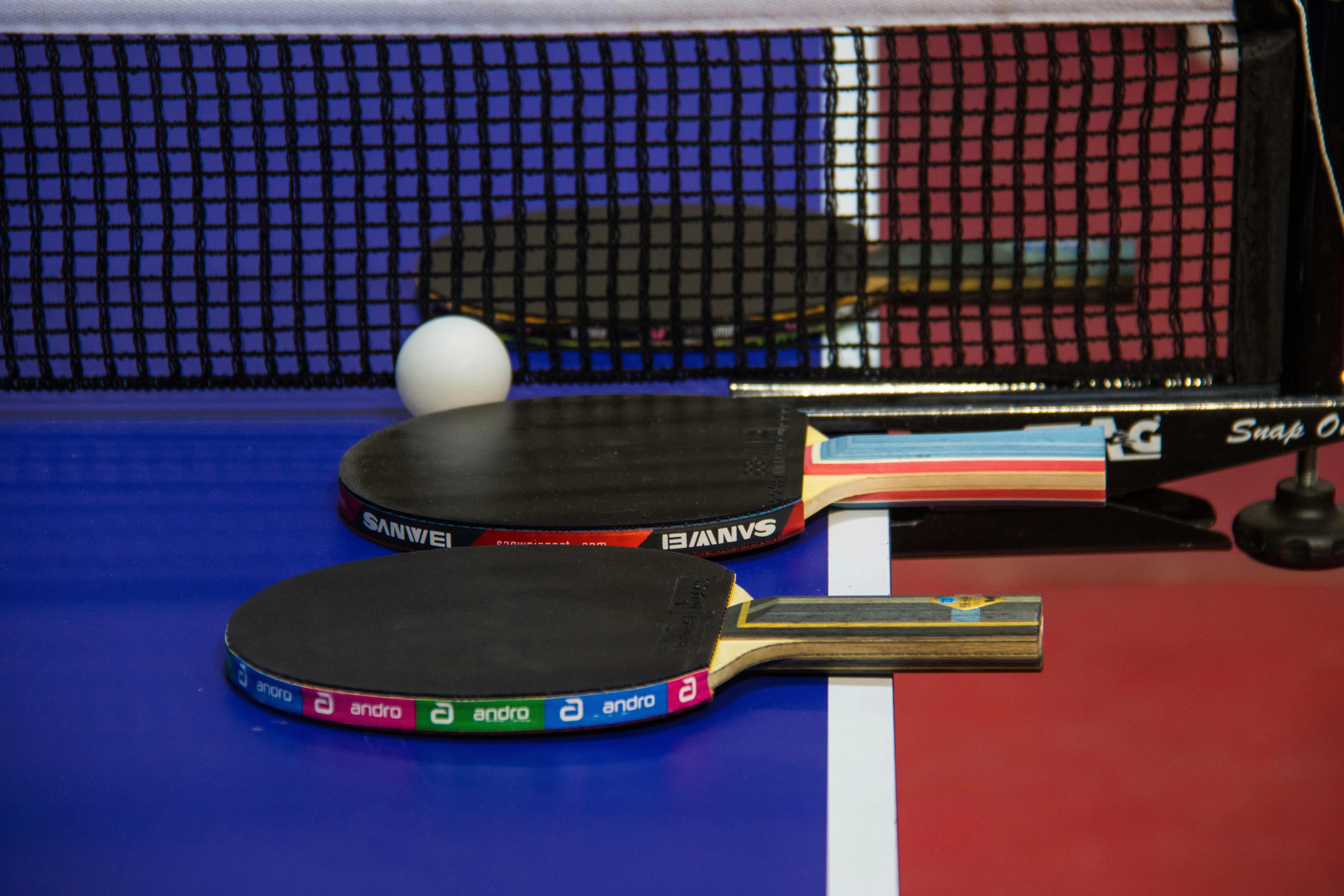 European Table Tennis Championship 2026
