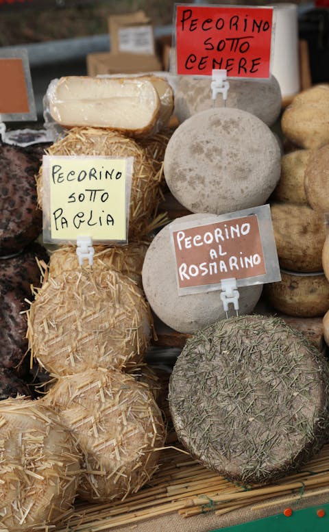 Italiassa valmistettuja Pecorino-juustoja.