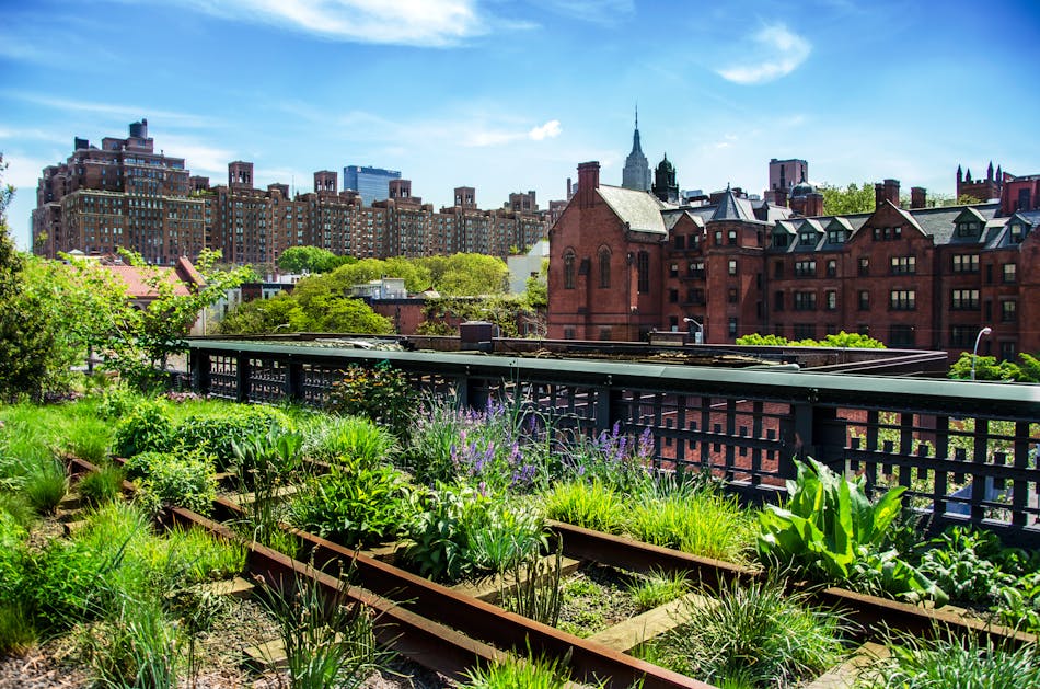 High Line puistosta näkymä