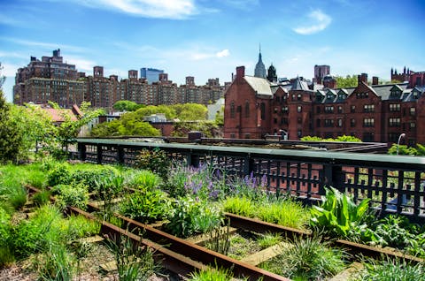 High Line puistosta näkymä