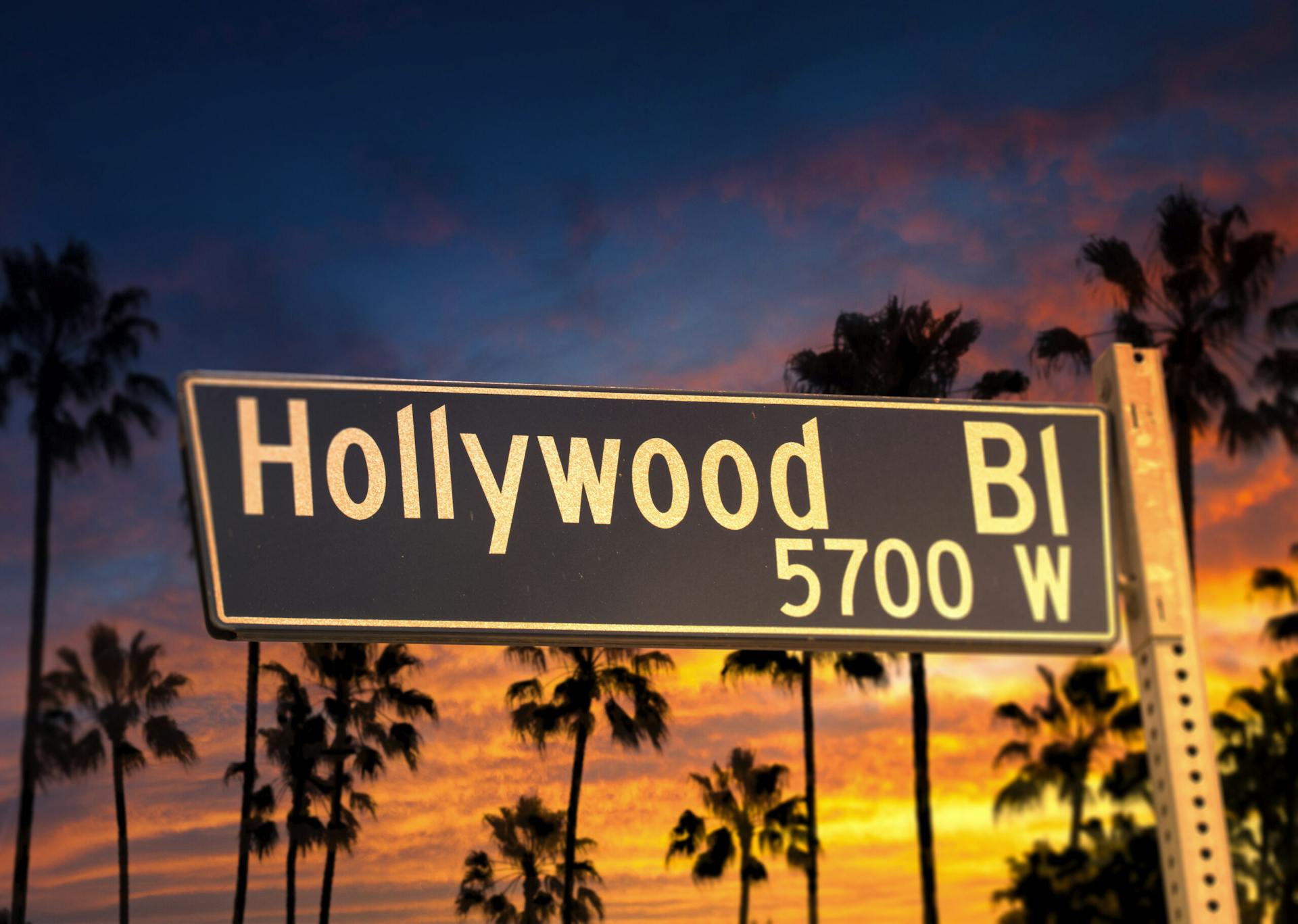 Hollywood tiekyltti, taustalla palmupuita auringonlaskunaikaan