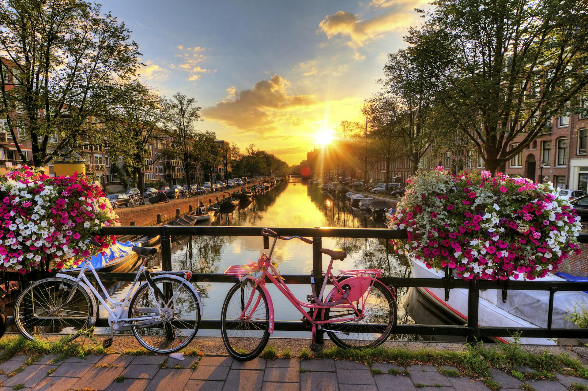 Amsterdamin kanaali auringonlaskunaikaan, jonka edustalla värikkäitä kukkia ja pinkki polkupyörä.