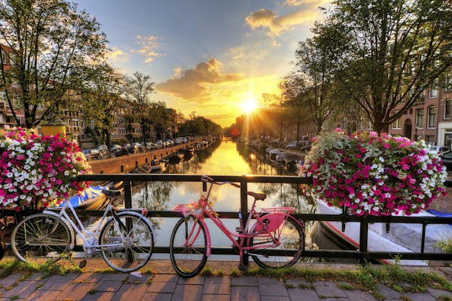 Amsterdamin kanaali auringonlaskunaikaan, jonka edustalla värikkäitä kukkia ja pinkki polkupyörä.