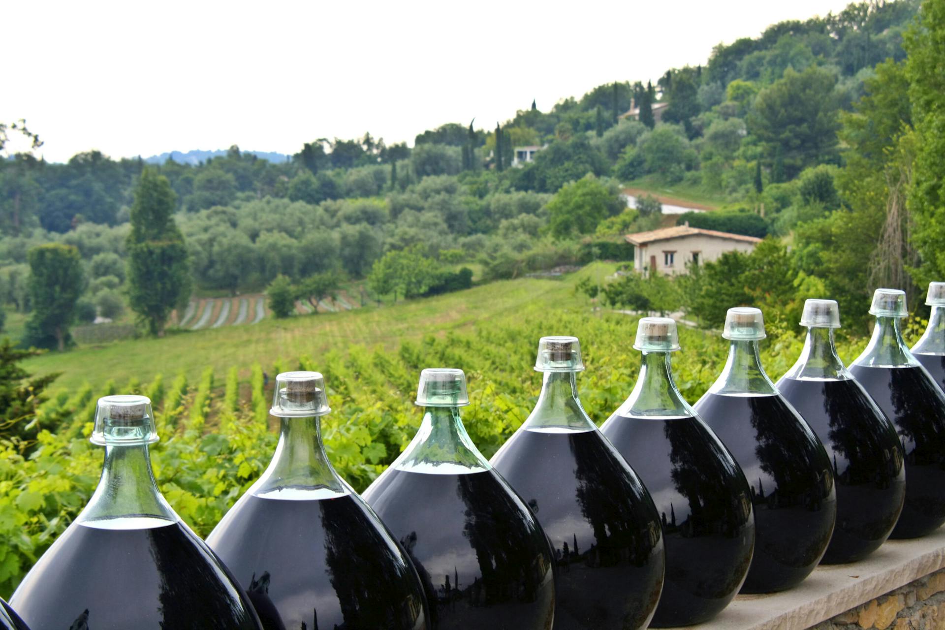 Viiniköynnösten tuotantoa pullotettuina Provencessa viinitilan edustalla