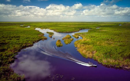 Näkymässä suoalue Everglades, jossa liikkuu moottorivene