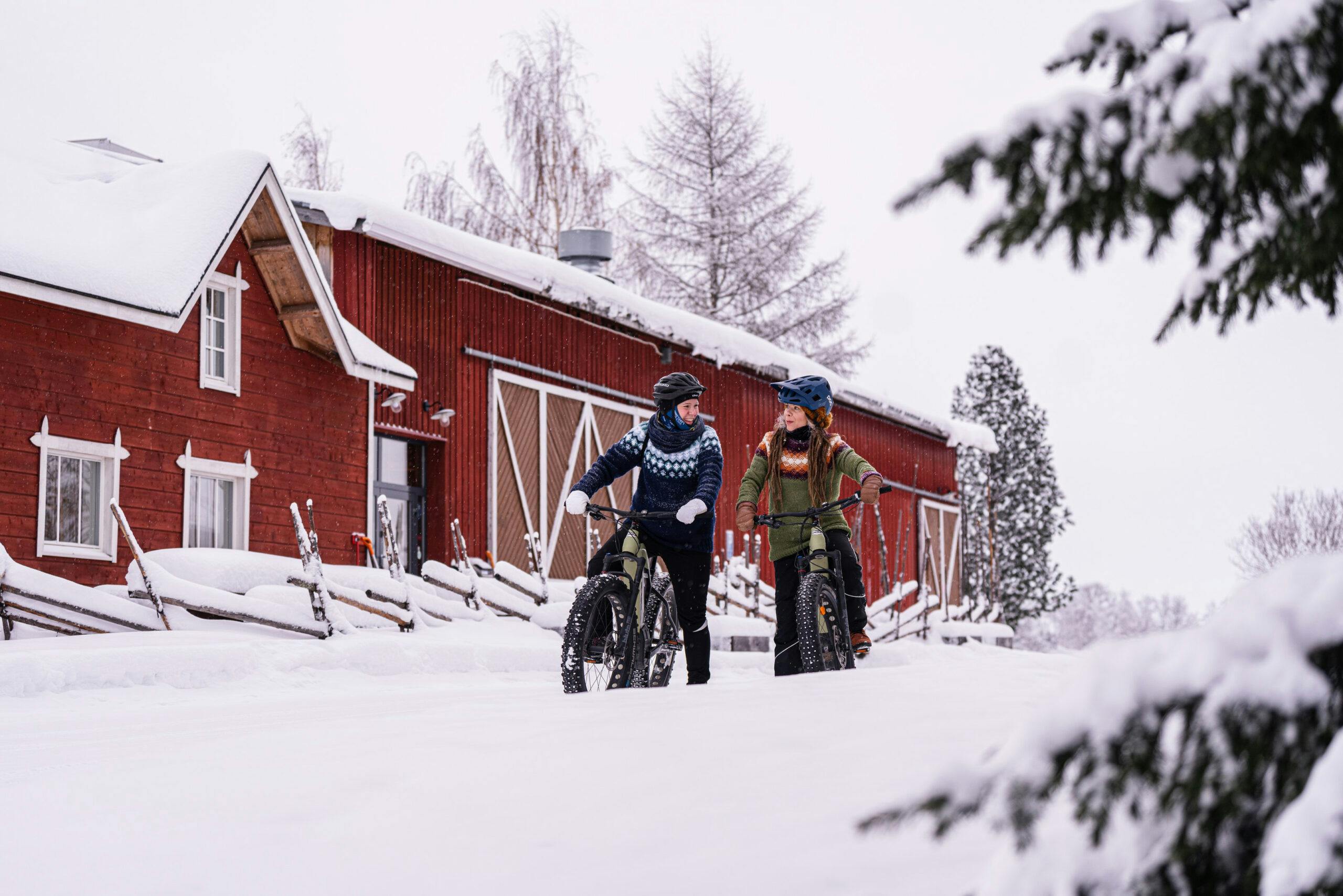 Vuokatti Winter biking
