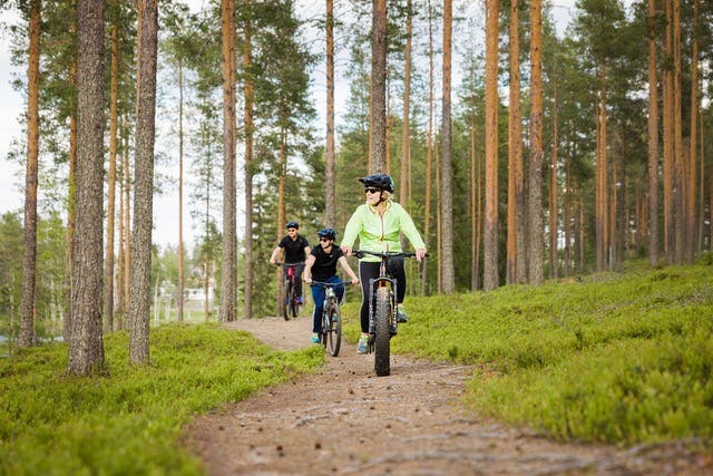 Kolme pyöräilijää metsässä pyöräilemässä jonossa.